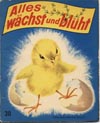 Wunderbuch
